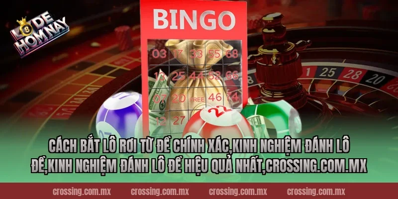 Cách bắt lô rơi từ đề chính xác,Kinh Nghiệm Đánh Lô Đề,Kinh nghiệm đánh lô đề hiệu quả nhất,danhdeonline.review
