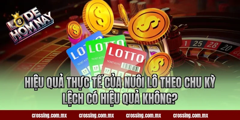 Hiệu quả thực tế của nuôi lô theo chu kỳ lệch có hiệu quả không?